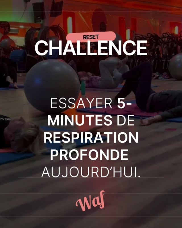 Le dimanche, ce n’est pas “pause totale”, c’est ton RESET 🌀.
Ton corps a besoin de bouger autrement pour se régénérer.

👉 Challenge douceur du jour :

5 minutes de respiration profonde

10 minutes d’étirements ou yoga

Prépare ton sac pour attaquer la semaine 💪

💡 Bonus : note 1 objectif forme que tu veux atteindre cette semaine et accroche-le en évidence.
Le dimanche devient ton secret pour démarrer plus fort 🚀.

#sundayreset #recoverymode #mindandbody #wafamily